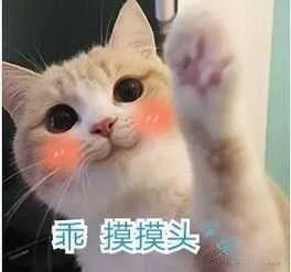 冷空气来袭！回南天有救了！