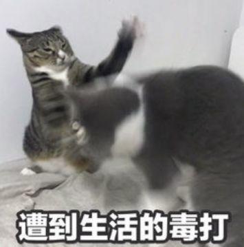 @东莞人，公布了！最新法定结婚年龄公布！网友：改到30岁吧...