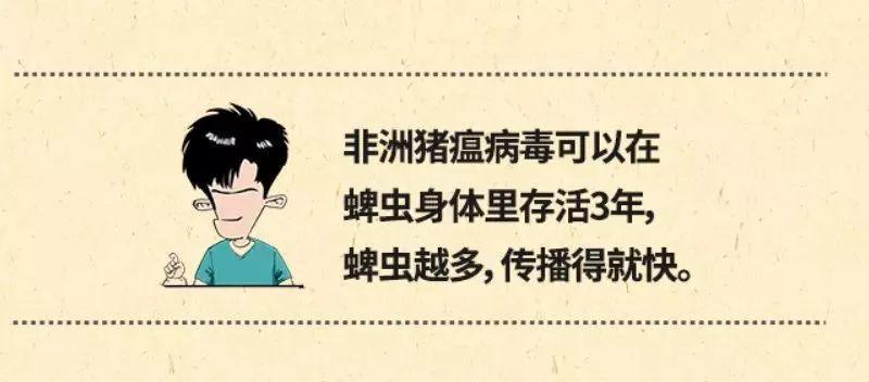 朋友圈里的“猪瘟”请刹车！权威消息来了！东莞人可以放心啦！