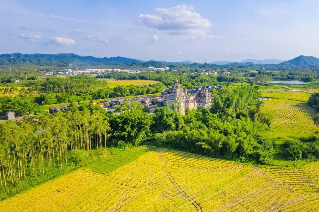 中央再度发文！家住农村的东莞街坊注意！