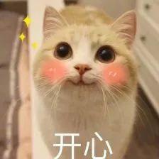 今天起！公安部出新规！没买车的东莞人恭喜了！
