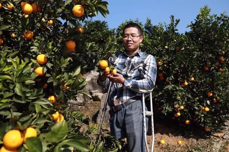 助力麻阳冰糖橙走出大山，留守老人一生良心种植，5斤仅19.9元，甜润爽口，生态健康！