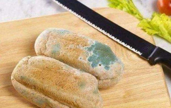 这11种食物，是身体的回春宝！会吃的人从头舒服到脚，你竟然不知道~