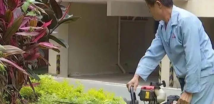可怕！东莞一小区惊现多种毒蛇，多人被咬中毒！