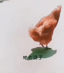 紧急通知！7号台风“韦帕”即将生成！高温+雷暴雨双双袭击东莞！更闹心的是...