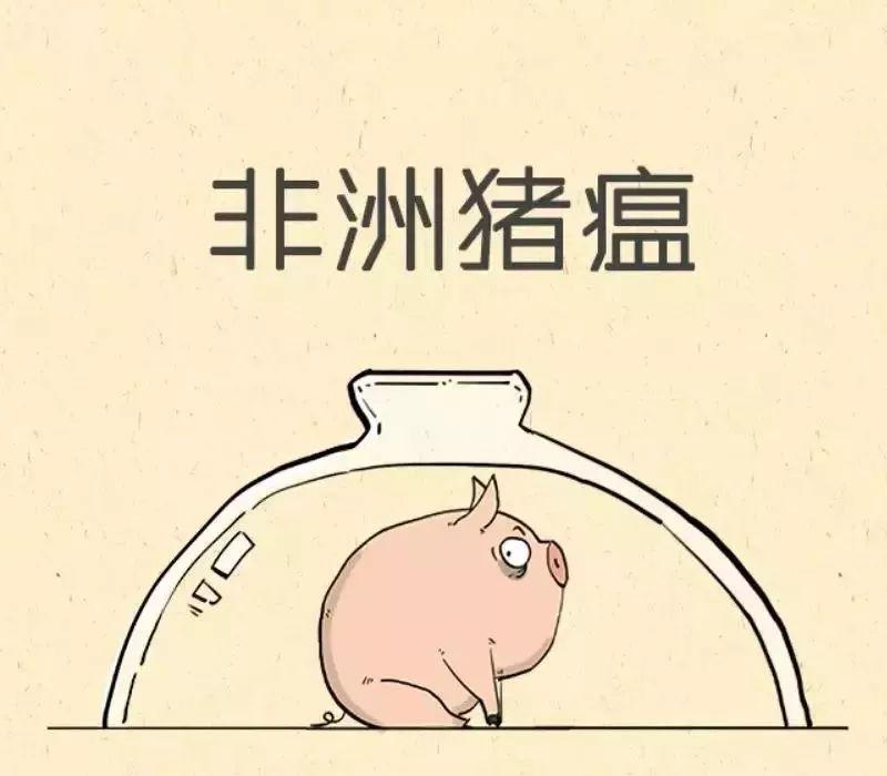 朋友圈里的“猪瘟”请刹车！权威消息来了！东莞人可以放心啦！