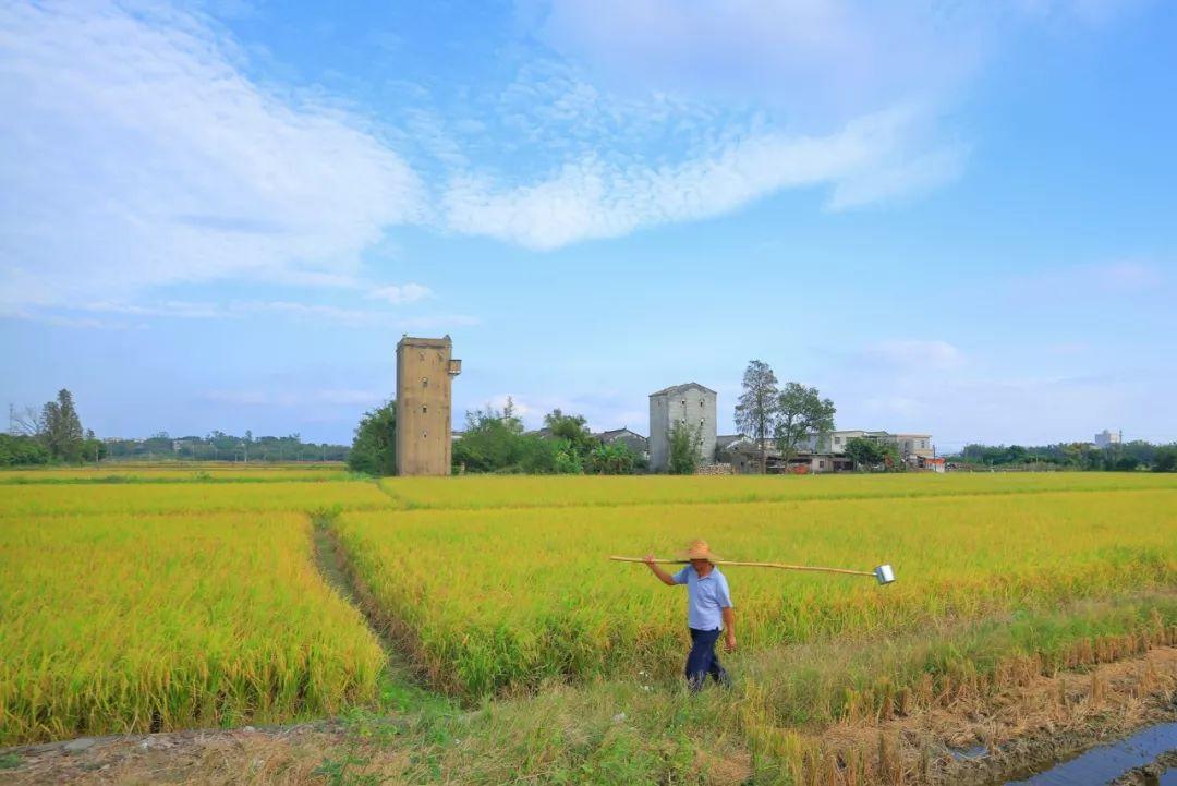 中央再度发文！家住农村的东莞街坊注意！