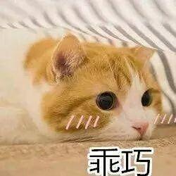 重磅！全国怕老婆排名新鲜出炉！东莞男人竟排在…