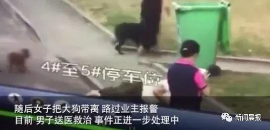 女子遛3只狗不牵绳！男子遭狗撕咬受伤严重，缝了30多针