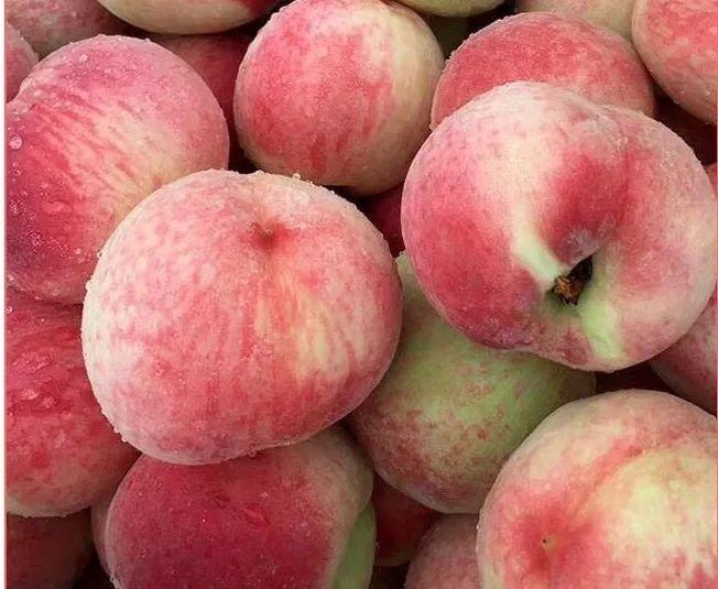 第一波水蜜桃新鲜上市！超级秒杀!!!春雪蜜桃5斤29.9元!又脆又甜又红又大!