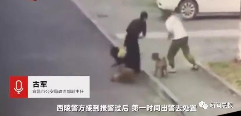 女子遛3只狗不牵绳！男子遭狗撕咬受伤严重，缝了30多针