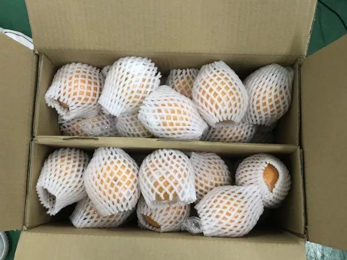 紧急！年关将至，湖南保靖4万吨富硒椪柑大面积滞销，即将烂在家里！时间紧迫，请大家帮帮他们寻找销路