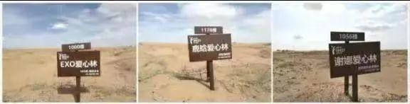 甜了你的嘴，暖了瓜农的心！守护沙漠民勤蜜瓜，29.9元包邮！