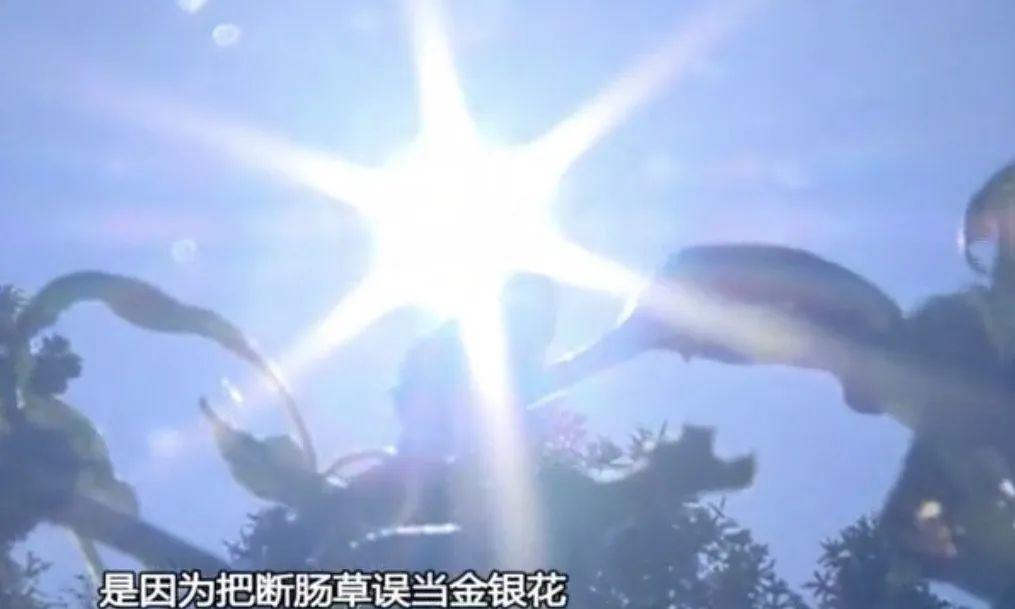 一家5口中毒入院，其中1人昏迷不醒！起因竟是一碗凉茶...
