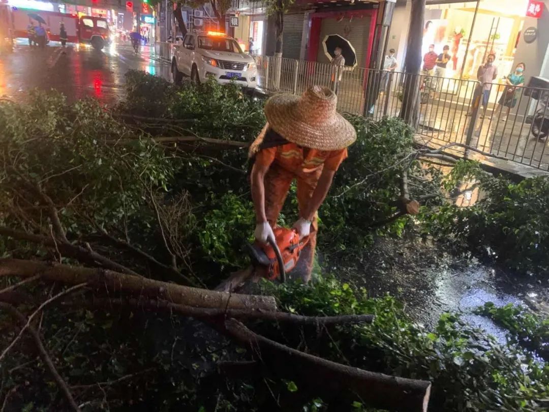 突发! 东莞昨晚狂风雷暴雨的4小时, 有人被大树压着, 有人被困, 有人......