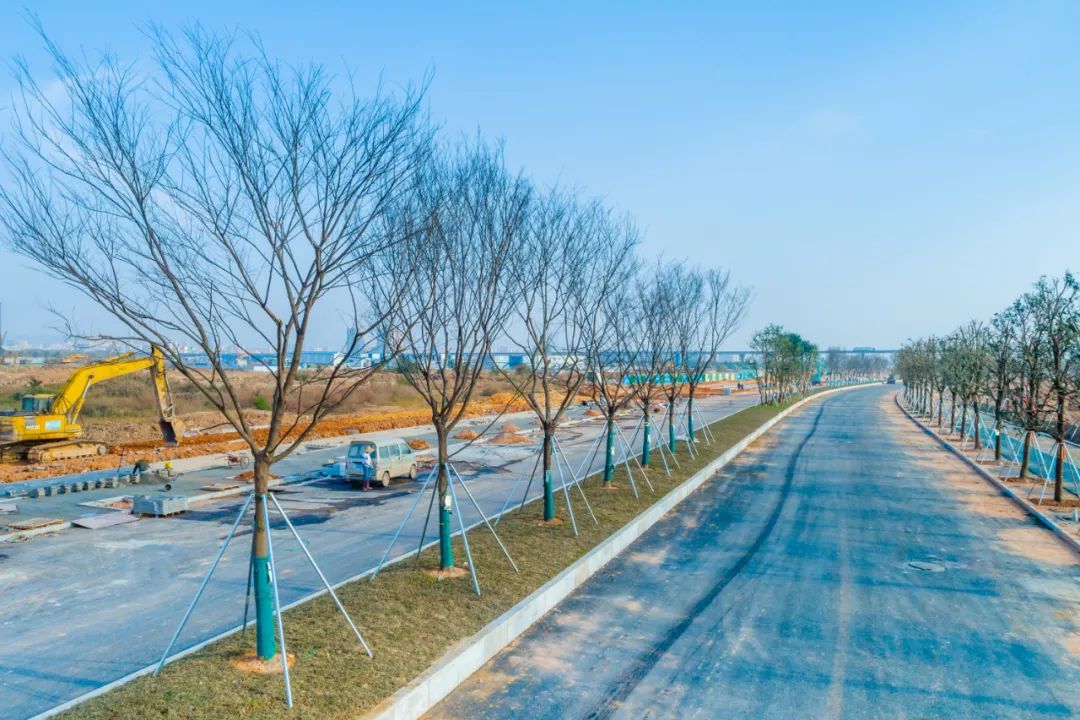 重磅！东莞这个新区6条主干道本月底建成通车！