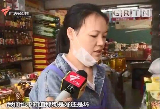 东莞一居委会发通知杀狗，宠物也有感染新冠肺炎风险？官方回应来了！
