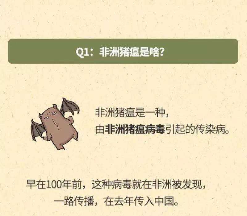 朋友圈里的“猪瘟”请刹车！权威消息来了！东莞人可以放心啦！