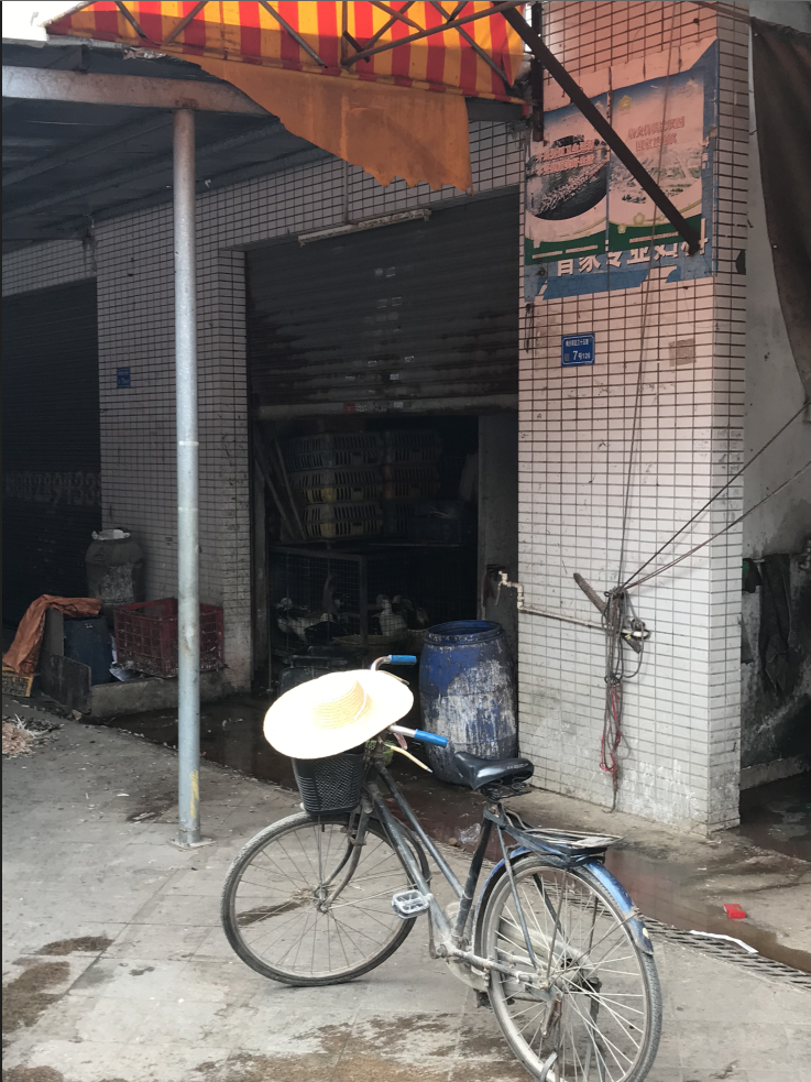 罚款+曝光！东莞正严查这种行为！