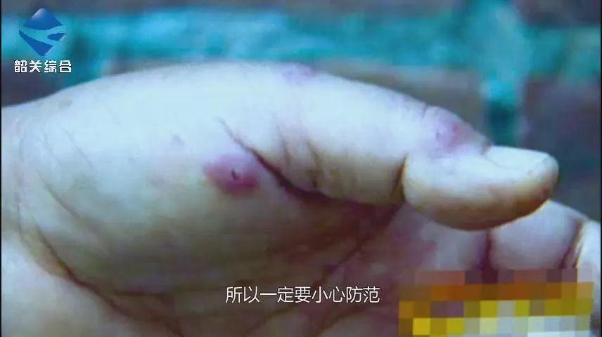 东莞人注意！清明将近，路边见到这种小土堆千万别碰！已有多人中招！