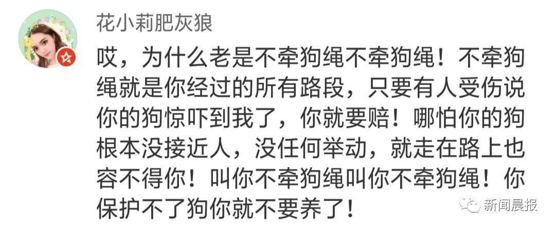 泰迪没吼也没咬，这位狗主人却赔了20万！只因这件事情没做好…