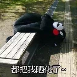 注意！台风胚胎预计今日生成，东莞多地将会有暴雨+8级大风！