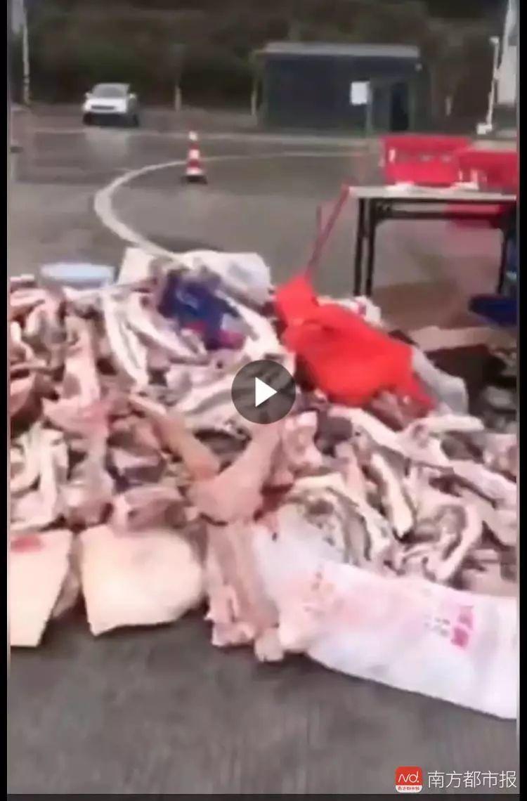 年后带腊肉回广东被查扣？热传视频背后的情况是……