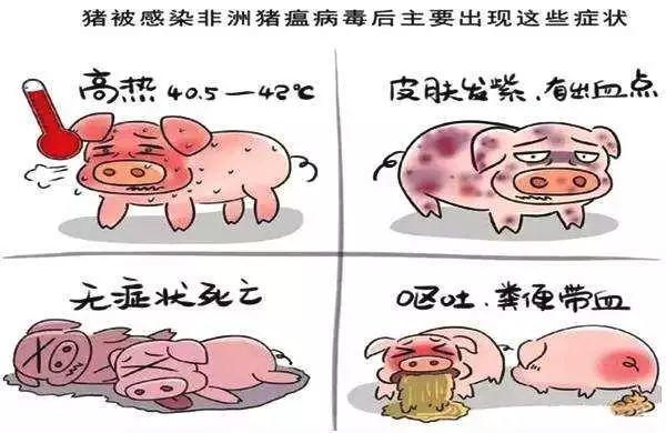 天呐！东莞人经常吃的三全灌汤水饺被曝检出非洲猪瘟病毒？