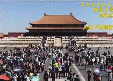号台风黄蜂要来？假期要泡汤？东莞人“五一”怎么办？"