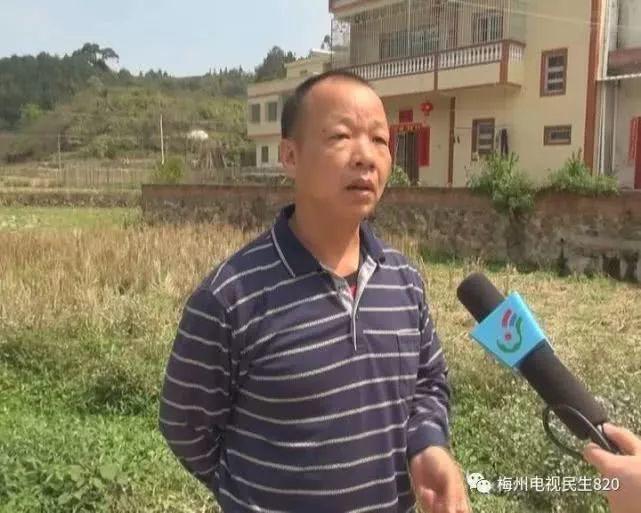 广东不明野兽再行凶！豹猫被咬死，有村民目击它被5个黑影围攻！