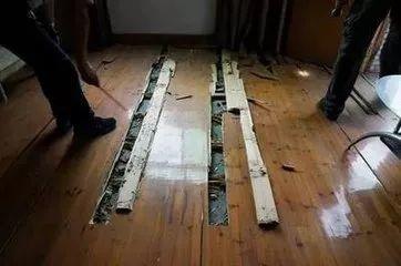 吓哭！太多多多……了！最近东莞人被吓得不敢开灯，只因它们又来轰炸了！