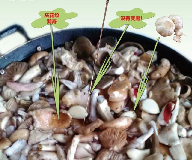 真有人用银器验毒！结果一家四口全被放倒！