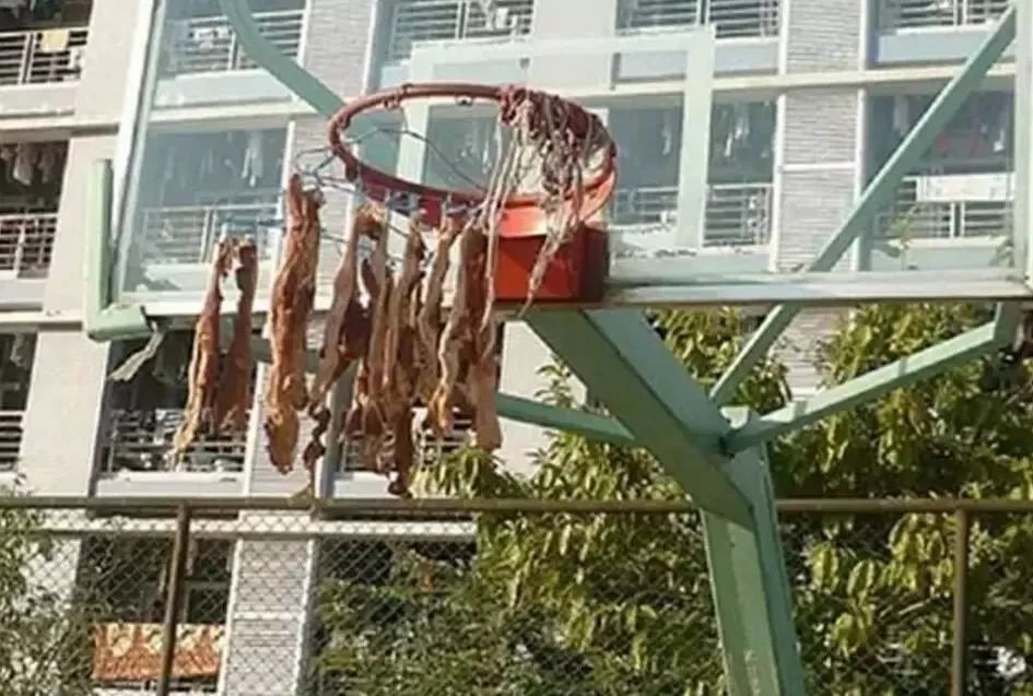 最壕阳台惊呆路人！这才是东莞大户人家！