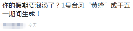 号台风黄蜂要来？假期要泡汤？东莞人“五一”怎么办？"