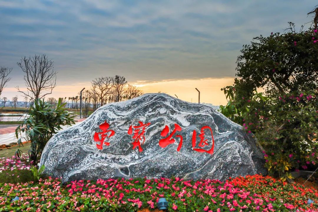 来啦！东莞首个海滨公园！美炸了！
