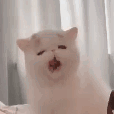 今晚，请所有东莞人早睡1小时！