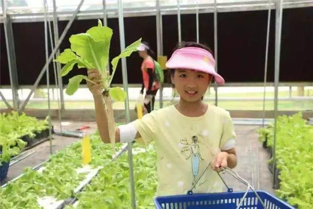 东莞最新网红休闲胜地~12.8元抢东江印象生态园观光票，海上丝路长廊、印象风车、孔雀观赏····休闲假日！秋游拍摄~共度欢乐时光