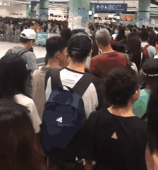 分钟到香港！东莞人去香港又多一个口岸选择了！"