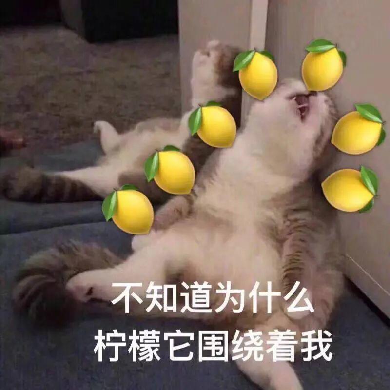 全国多地推行实施2.5天制周末，广东的情况是...