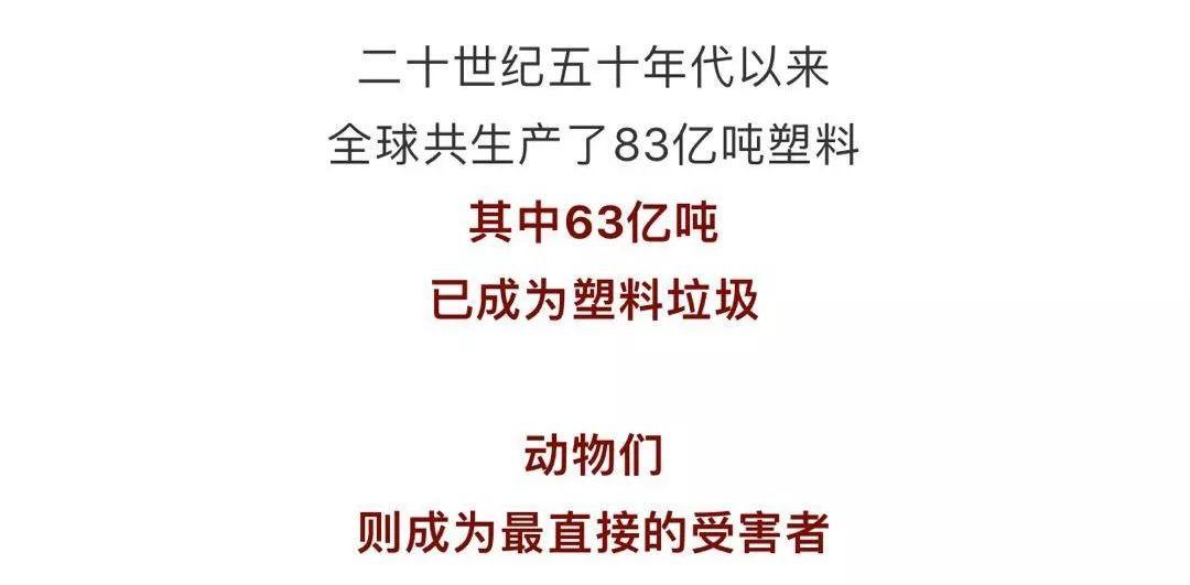对不起，吓到大家了！