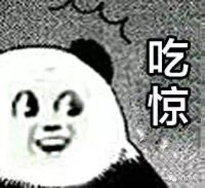 紧急提醒！这种果子随处可见，但千万别捡！不少人都遭了...