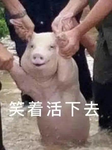 冷空气+暴雨杀到，最低温将跌至1字头！东莞接下来的天气太刺激了！