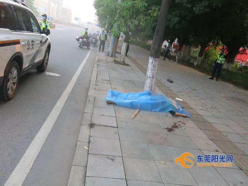 东莞一男子醉驾，撞人致死后逃逸！