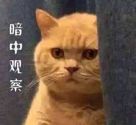粤S车主注意！车上出现这种东西赶紧扔！已有不少人中招！
