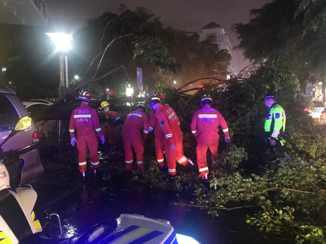突发! 东莞昨晚狂风雷暴雨的4小时, 有人被大树压着, 有人被困, 有人......