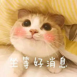 明天起！澳门轻轨正式开通，东莞人年底前可免费坐！还有这些好消息……