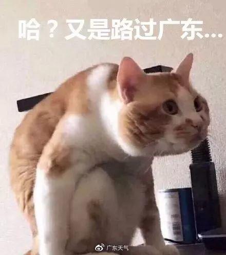 好！大！的！风！冷空气正在深入，你的发型还好吗？