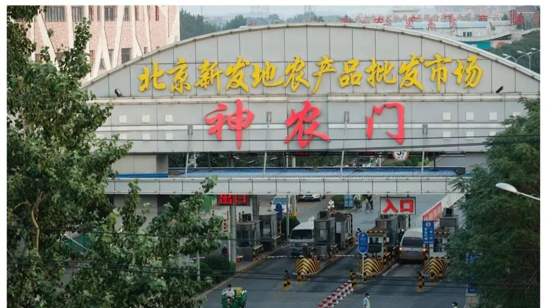 三文鱼出事了!新冠疫情升级!东莞的情况来了!