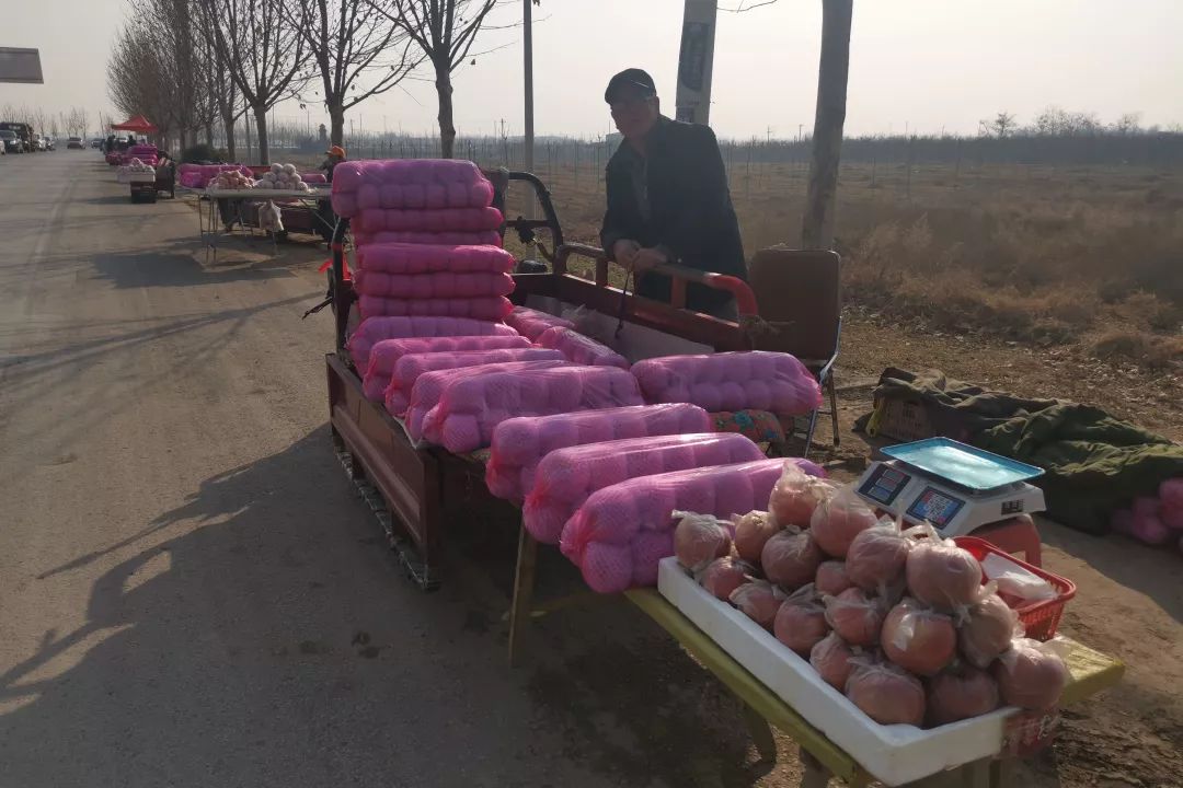 年关将近，紧急求助！陕西300万斤红富士苹果急盼销路，10斤仅29.9元，请大家帮忙转发助力，帮助乡亲们度过年关！