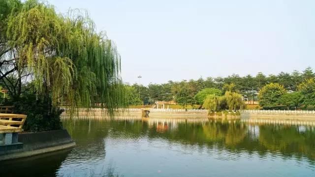 东莞哪个镇最富? 哪个镇最穷? 2019年最新排名出炉! 排在最后的是…